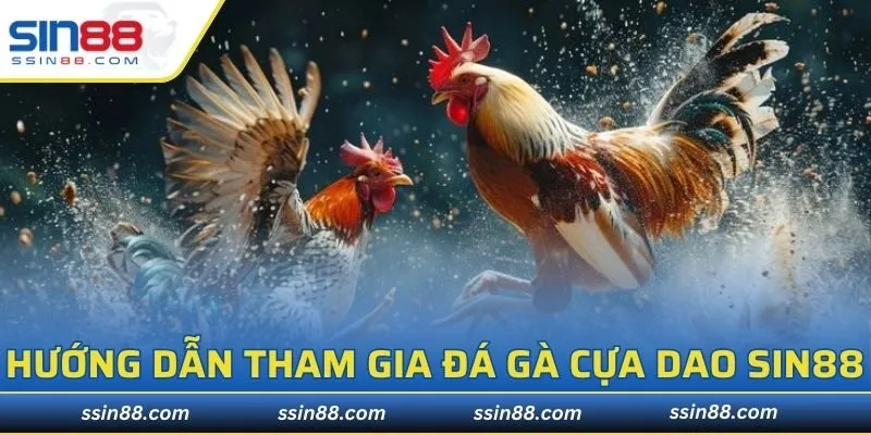 Hướng dẫn tham gia đá gà cựa dao tại SIN88