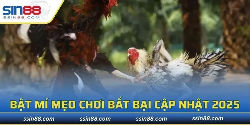 Lưu ý duy trì sự tỉnh táo tập trung là điều cực kỳ quan trọng