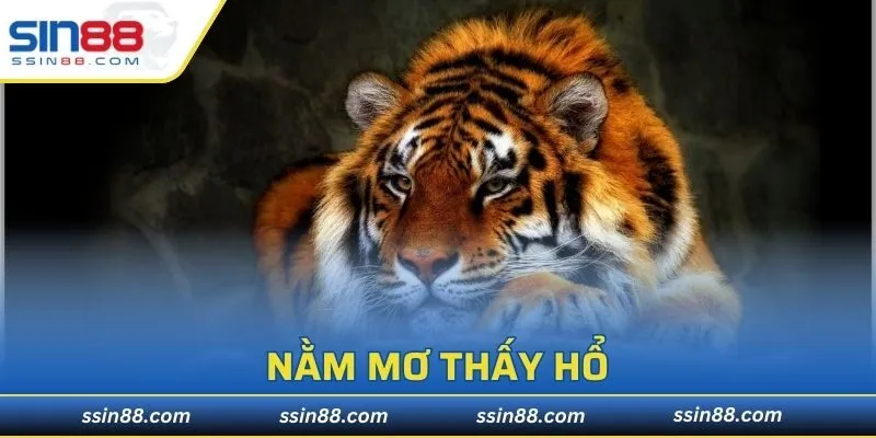 Nằm Mơ Thấy Hổ