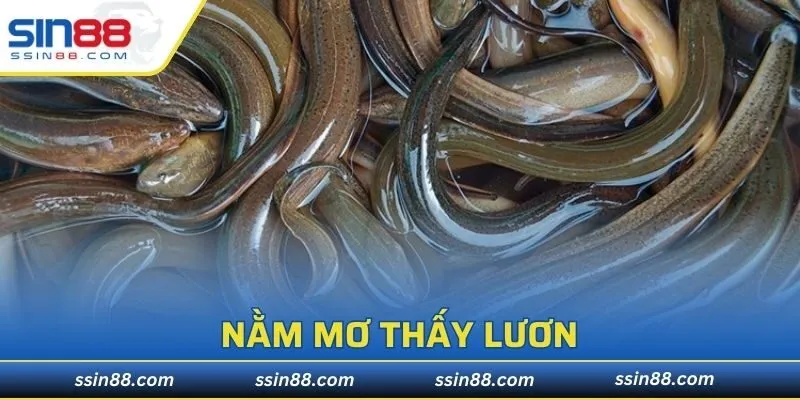 Nằm Mơ Thấy Lươn
