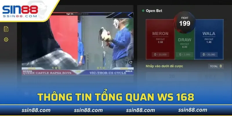 Thông tin tổng quan WS 168