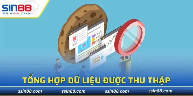 Tổng hợp dữ liệu được thu thập